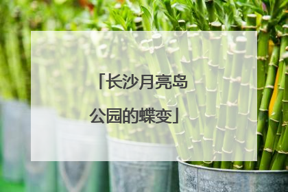 长沙月亮岛公园的蝶变