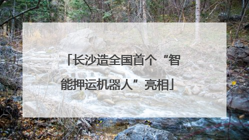 长沙造全国首个“智能押运机器人”亮相