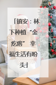 镇安：林下种植“金疙瘩” 幸福生活有盼头