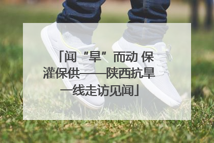 闻“旱”而动 保灌保供——陕西抗旱一线走访见闻