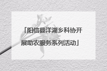 阳信县洋湖乡科协开展助农服务系列活动