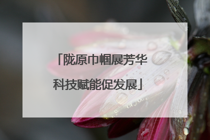 陇原巾帼展芳华 科技赋能促发展