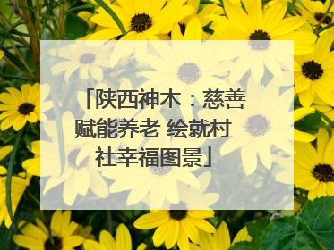 陕西神木：慈善赋能养老 绘就村社幸福图景