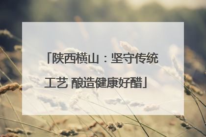 陕西横山：坚守传统工艺 酿造健康好醋