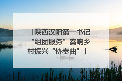 陕西汉阴第一书记“组团服务”奏响乡村振兴“协奏曲”