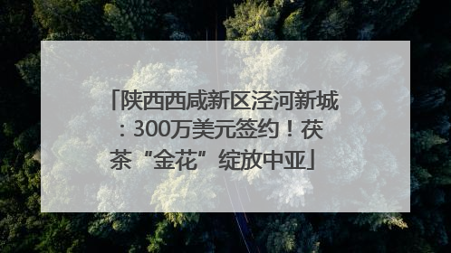 陕西西咸新区泾河新城：300万美元签约！茯茶“金花”绽放中亚