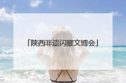 陕西非遗闪耀文博会