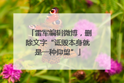 雷军编辑微博，删除文字“诋毁本身就是一种仰望”