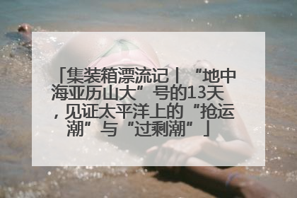集装箱漂流记丨“地中海亚历山大”号的13天，见证太平洋上的“抢运潮”与“过剩潮”