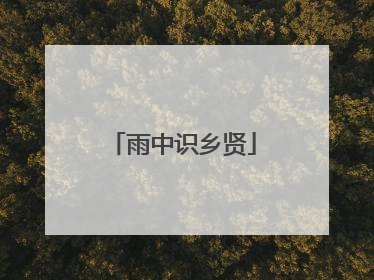 雨中识乡贤