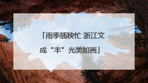 雨季插秧忙 浙江文成“丰”光美如画