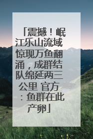 震撼！岷江乐山流域惊现万鱼翻涌，成群结队绵延两三公里 官方：鱼群在此产卵