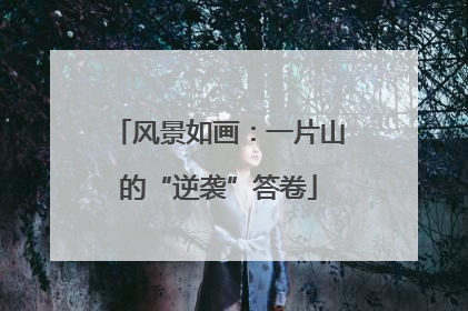 风景如画：一片山的“逆袭”答卷