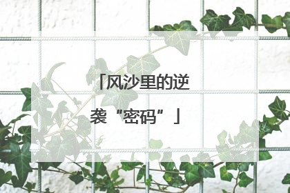 风沙里的逆袭“密码”