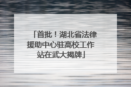 首批！湖北省法律援助中心驻高校工作站在武大揭牌