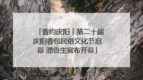 香约庆阳丨第二十届庆阳香包民俗文化节启幕 潘鲁生宣布开幕
