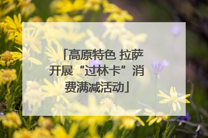 高原特色 拉萨开展“过林卡”消费满减活动