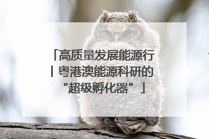 高质量发展能源行丨粤港澳能源科研的“超级孵化器”