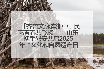齐鲁文脉连浙中，民艺青春共飞扬——山东携手磐安共启2025年“文化和自然遗产日”系列活动