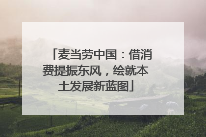 麦当劳中国：借消费提振东风，绘就本土发展新蓝图