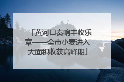 黄河口奏响丰收乐章——全市小麦进入大面积收获高峰期
