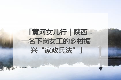 黄河女儿行｜陕西：一名下岗女工的乡村振兴“家政兵法”