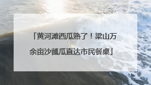 黄河滩西瓜熟了！梁山万余亩沙瓤瓜直达市民餐桌