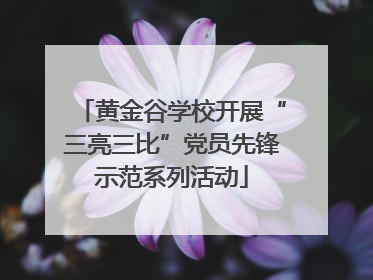 黄金谷学校开展“三亮三比”党员先锋示范系列活动