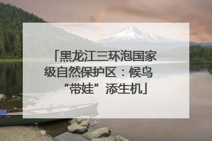 黑龙江三环泡国家级自然保护区：候鸟“带娃”添生机