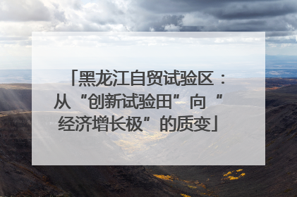 黑龙江自贸试验区：从“创新试验田”向“经济增长极”的质变