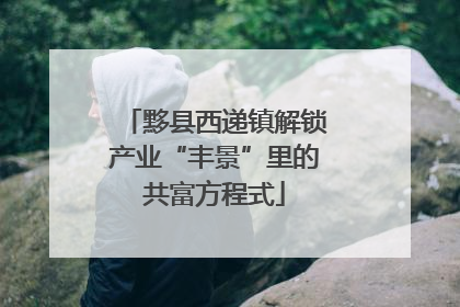 黟县西递镇解锁产业“丰景”里的共富方程式