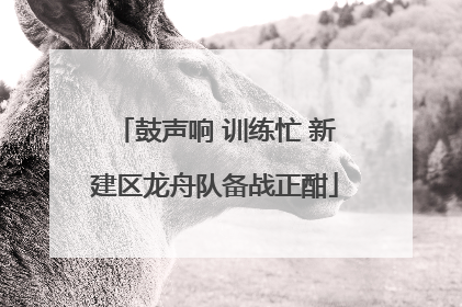 鼓声响 训练忙 新建区龙舟队备战正酣