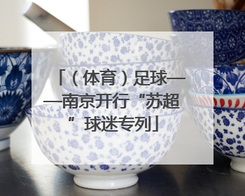 （体育）足球——南京开行“苏超”球迷专列