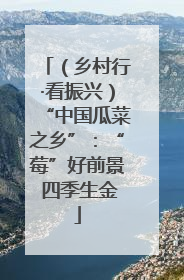 （乡村行·看振兴）“中国瓜菜之乡”：“莓”好前景 四季生金