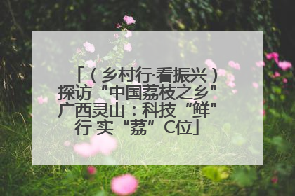 （乡村行·看振兴）探访“中国荔枝之乡”广西灵山：科技“鲜”行 实“荔”C位
