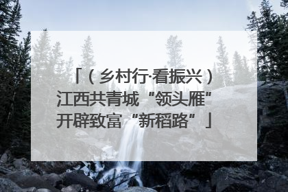 （乡村行·看振兴）江西共青城“领头雁”开辟致富“新稻路”