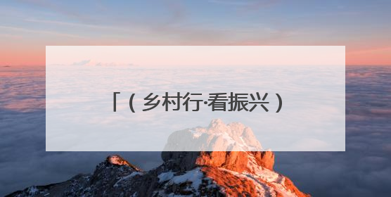 （乡村行·看振兴）陕西留坝：“满山绿”如何变“口袋金”？