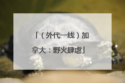（外代一线）加拿大：野火肆虐