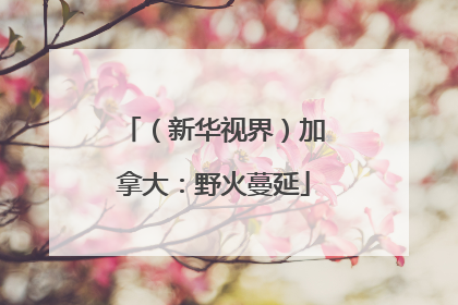 （新华视界）加拿大：野火蔓延