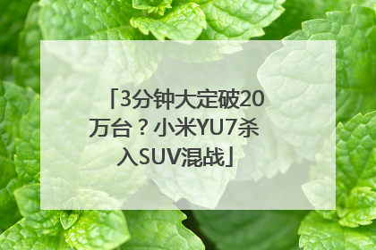 3分钟大定破20万台？小米YU7杀入SUV混战