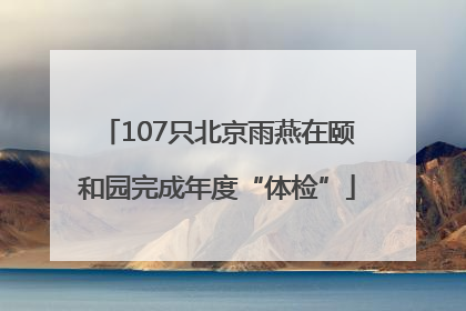 107只北京雨燕在颐和园完成年度“体检”
