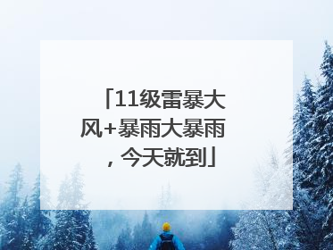 11级雷暴大风+暴雨大暴雨，今天就到