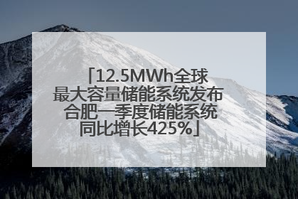 12.5MWh全球最大容量储能系统发布 合肥一季度储能系统同比增长425%