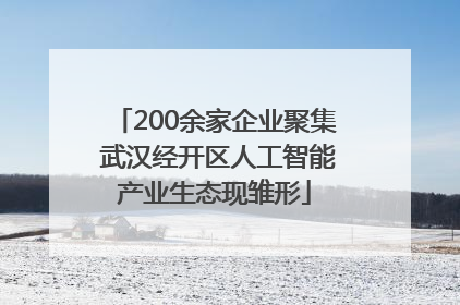 200余家企业聚集 武汉经开区人工智能产业生态现雏形