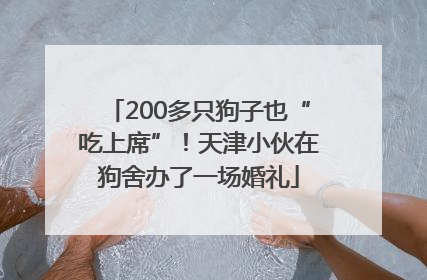 200多只狗子也“吃上席”！天津小伙在狗舍办了一场婚礼