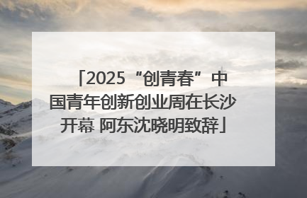 2025“创青春”中国青年创新创业周在长沙开幕 阿东沈晓明致辞