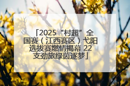 2025“村超”全国赛（江西赛区）弋阳选拔赛燃情揭幕 22支劲旅绿茵逐梦