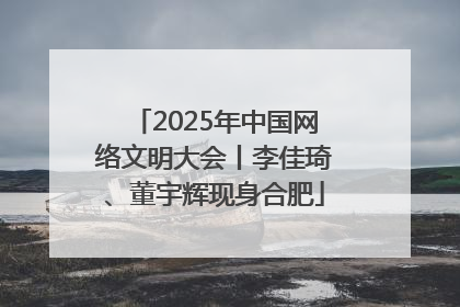 2025年中国网络文明大会丨李佳琦、董宇辉现身合肥