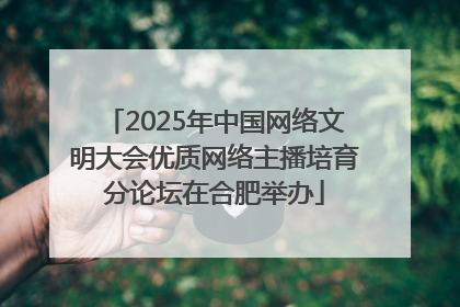 2025年中国网络文明大会优质网络主播培育分论坛在合肥举办