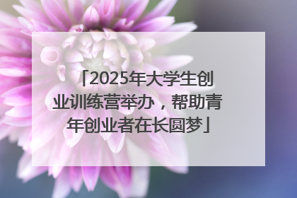 2025年大学生创业训练营举办，帮助青年创业者在长圆梦